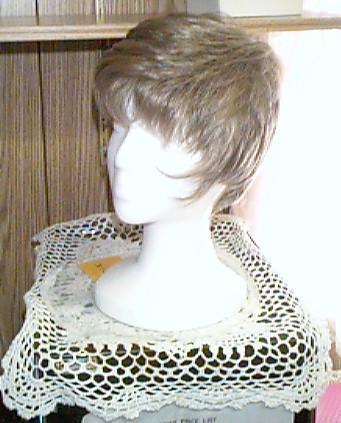 wig01.jpg (49665 bytes)