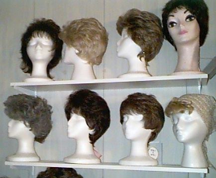 wig02.jpg (68817 bytes)