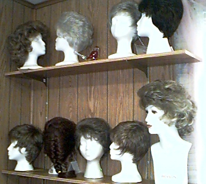 wig03.jpg (73335 bytes)