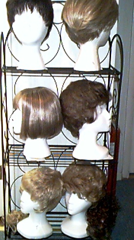wig05.jpg (76585 bytes)