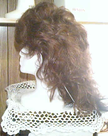 wig08.jpg (80231 bytes)
